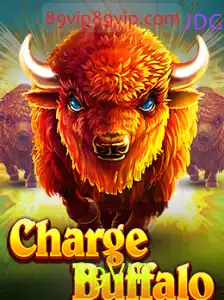 Explorando o Mundo de ChargeBuffalo: Uma Jornada Inovadora
